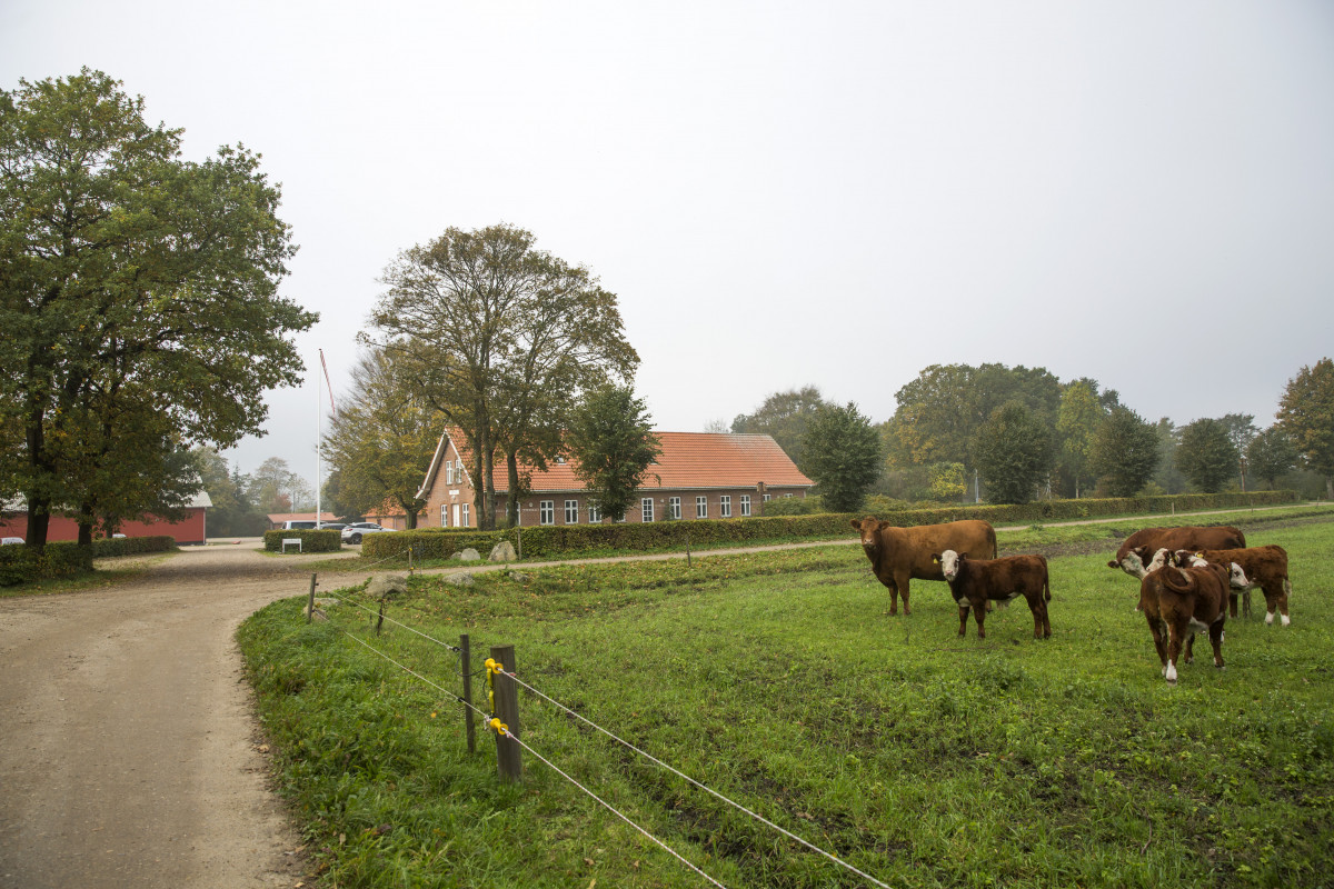 Billede af Lyng Udslusningsfængsel